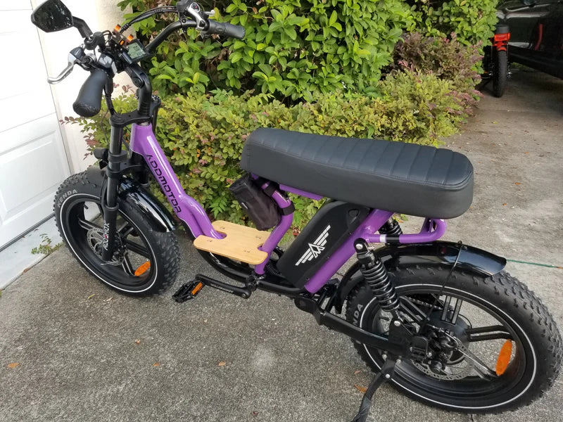 Addmotor Soletan M-66X