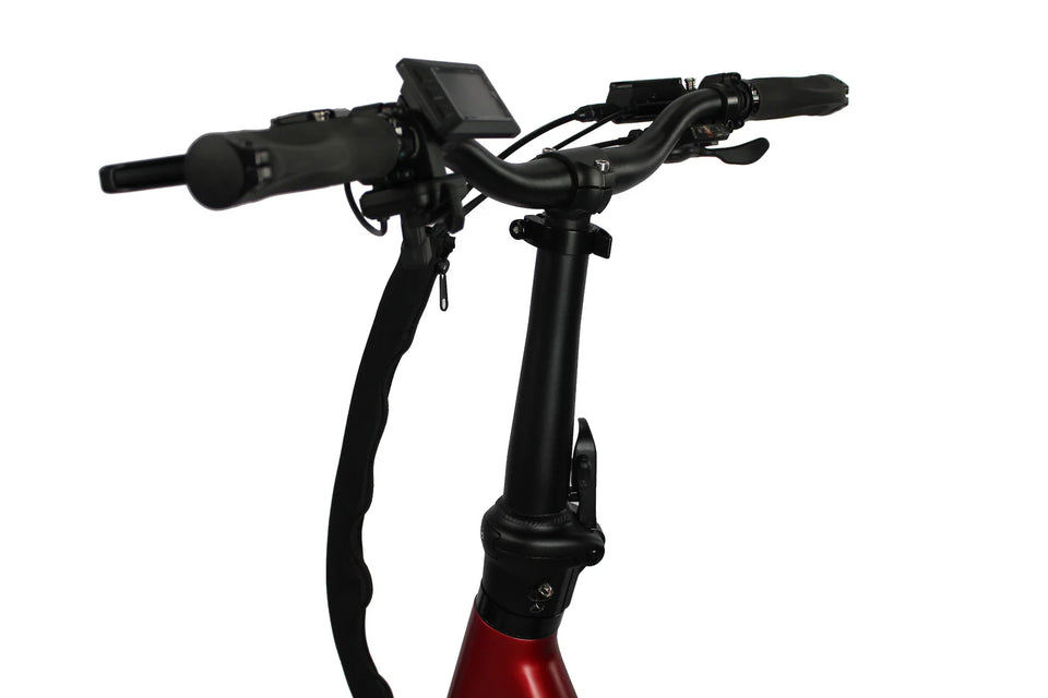 Vamos Papa Grande Pro 2025 3 Wheel E-Trike
