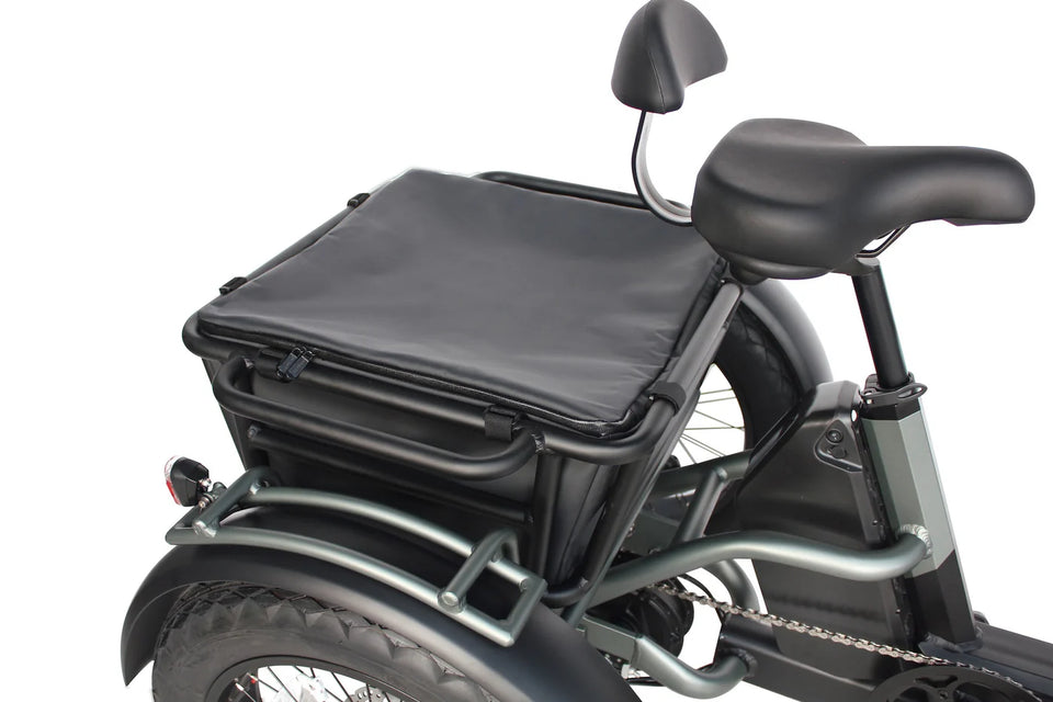 Vamos Papa Grande Pro 2025 3 Wheel E-Trike
