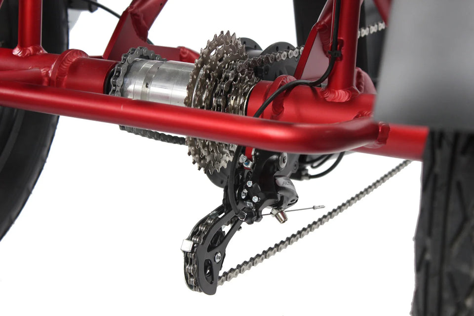 Vamos Papa Grande Pro 2025 3 Wheel E-Trike