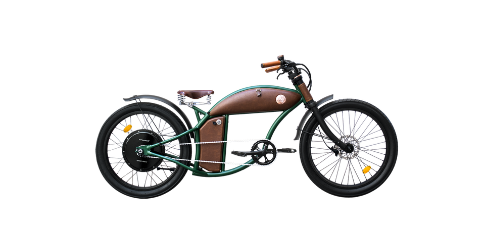 Rayvolt Cruzer Green POWER Hub (250/1000W) 21 a/h battery
