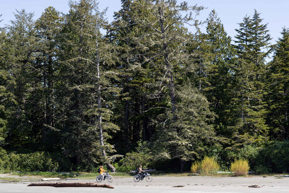 Need help understanding ebikes?