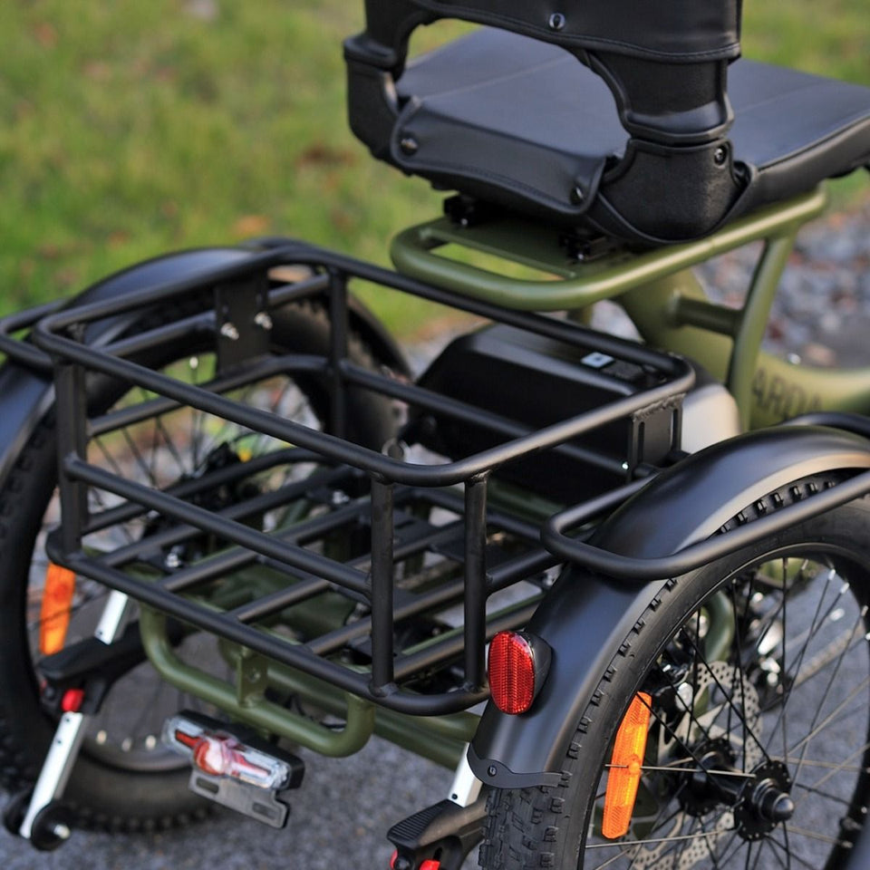 Karda Skink Electric Trike Low Step 48V 15Ah 250W