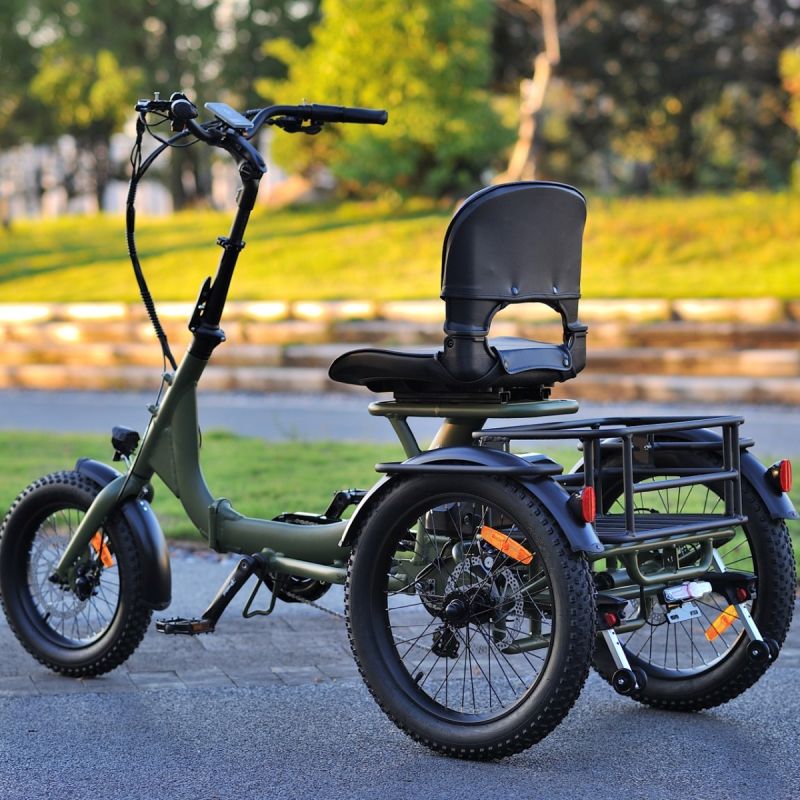 Karda Skink Electric Trike Low Step 48V 15Ah 250W