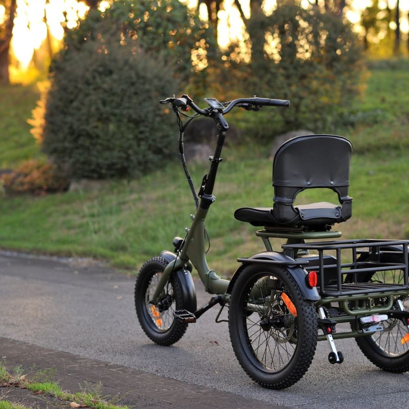 Karda Skink Electric Trike Low Step 48V 15Ah 250W