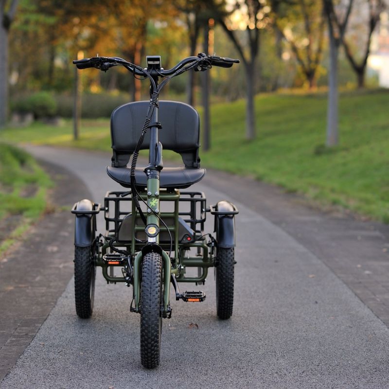 Karda Skink Electric Trike Low Step 48V 15Ah 250W