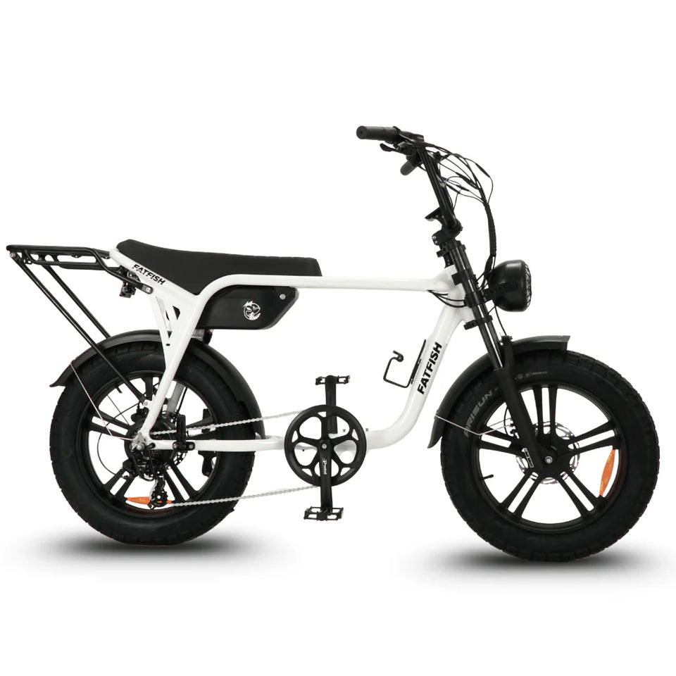 Fatfish Biggie 20AH Fat Tyre E-Bike