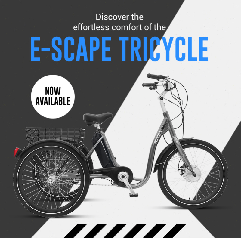 Icon E scape 24” e Tricycle