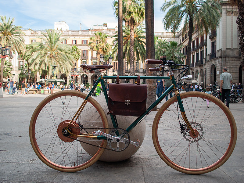 Rayvolt  Ambassador Electric Bike - Green Envy